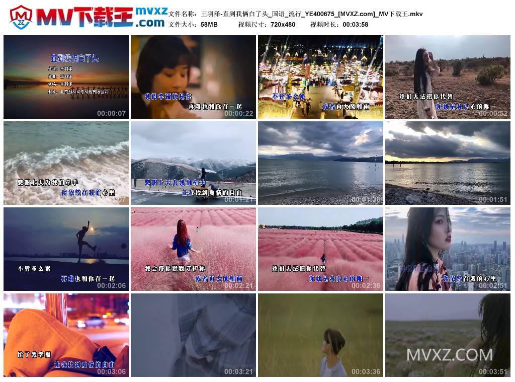 王羽泽-直到我俩白了头_国语_流行_YE400675